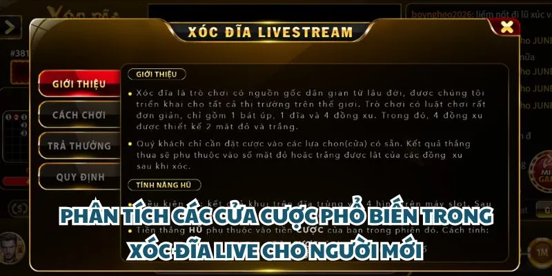 Phân tích các cửa cược phổ biến trong xóc đĩa live cho người mới