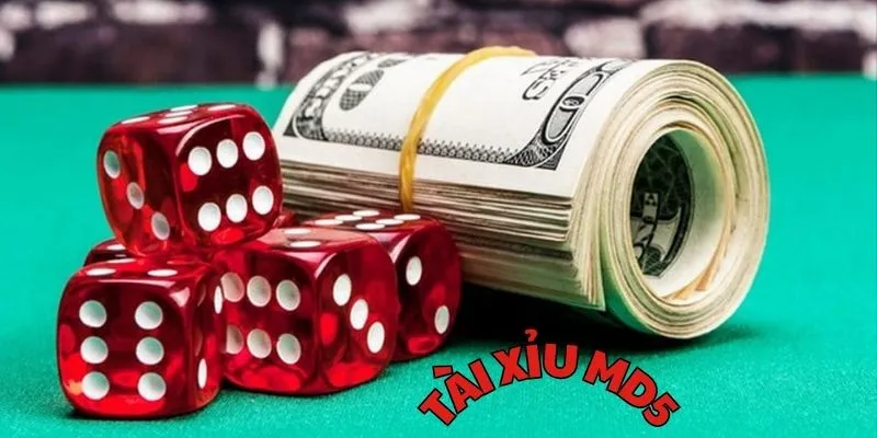 cac kieu cuoc pho bien trong tro choi tai xiu md5 tai hitclub Các kiểu cược phổ biến trong trò chơi game Tài Xỉu MD5 tại HitclubCác kiểu cược phổ biến trong trò chơi game Tài Xỉu MD5 tại Hitclub