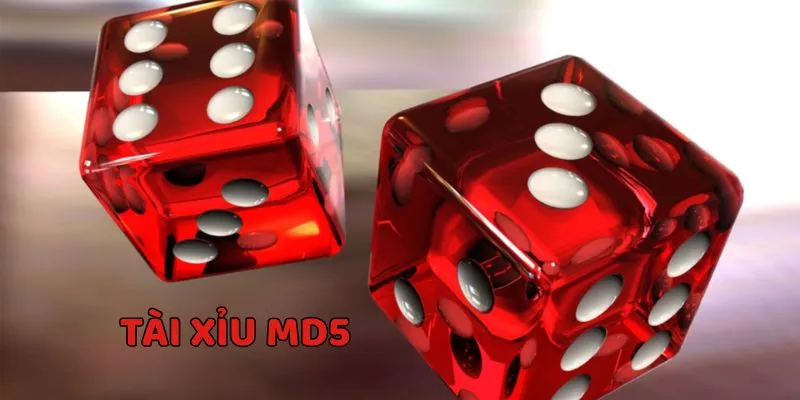 kham pha ly do nen choi tai xiu md5 tai hit club loi ich hap dan Khám phá lý do nên chơi game Tài Xỉu MD5 tại Hit Club, lợi ích hấp dẫn